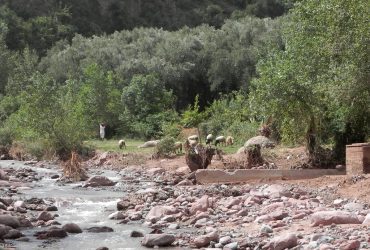 Valle di Ourika – da Marrakech